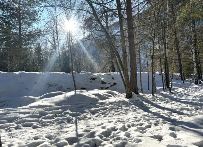 Selv om naturen er en mental nullstilling, kan dørstokkmila være stor. Foto: Magne Hagberg